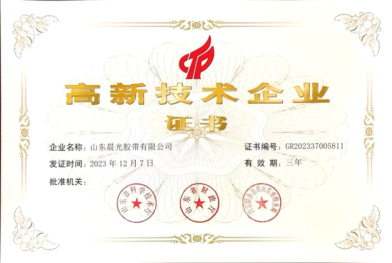 國家級高新技術(shù)企業(yè)